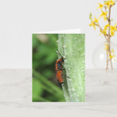 キビムシとポッド空白の- Greeting Card カード (黄色い花)