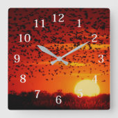 キビラでのブラックバードの移動 スクエア壁時計 (正面)