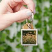 キビ(Panicum Sp.) 湿地で育つ キーホルダー (手)