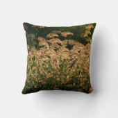 キビ(Panicum Sp.) 湿地で育つ クッション (裏面)