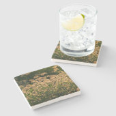 キビ(Panicum Sp.) 湿地で育つ ストーンコースター (横)