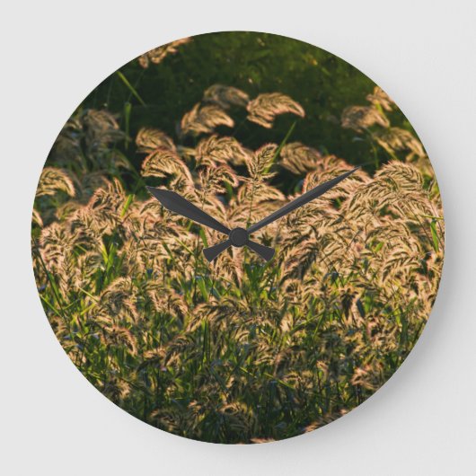 キビ(Panicum Sp.) 湿地で育つ ラージ壁時計 (正面)
