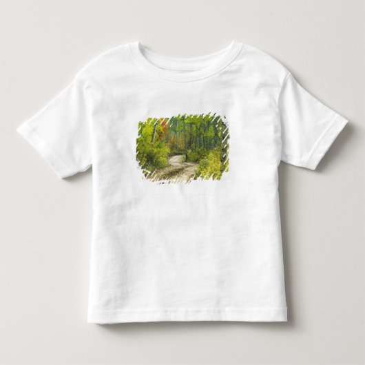 キブラーの秋の色と《植物》アスペンの道 トドラーTシャツ (正面)