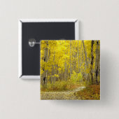 キブラー2の秋の色と《植物》アスペンの道 缶バッジ (正面&裏面)