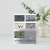 キプロスのはがき ポストカード (スタンド正面)