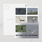 キプロスのはがき ポストカード (正面/裏面)