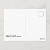 キプロスのはがき ポストカード (裏面)