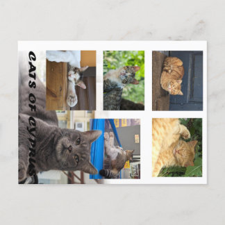 キプロスのはがき ポストカード