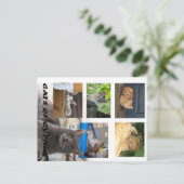 キプロスのはがき ポストカード (スタンド正面)