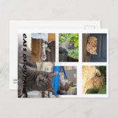 キプロスのはがき ポストカード (正面/裏面)