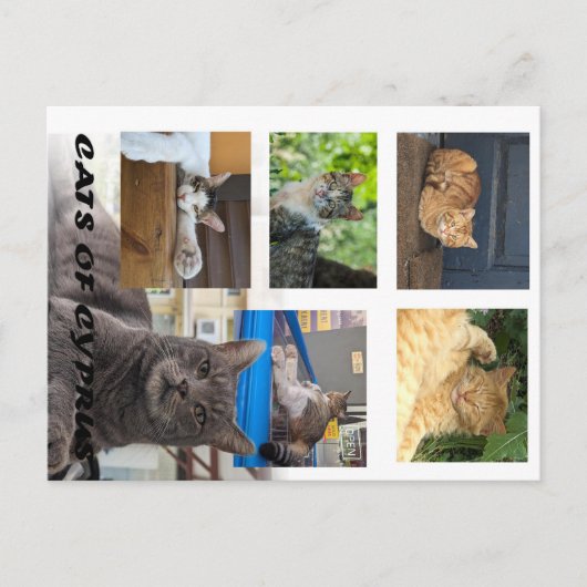 キプロスのはがき ポストカード (正面)