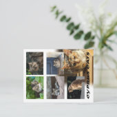 キプロスのはがき ポストカード (スタンド正面)