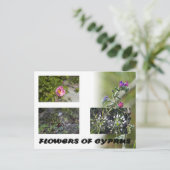 キプロスのはがき ポストカード (スタンド正面)