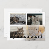 キプロスのはがき ポストカード (正面/裏面)