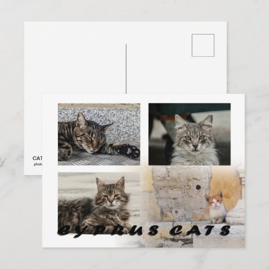 キプロスのはがき ポストカード (正面/裏面)