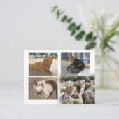 キプロスのはがき ポストカード (スタンド正面)