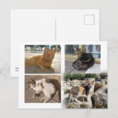 キプロスのはがき ポストカード (正面/裏面)