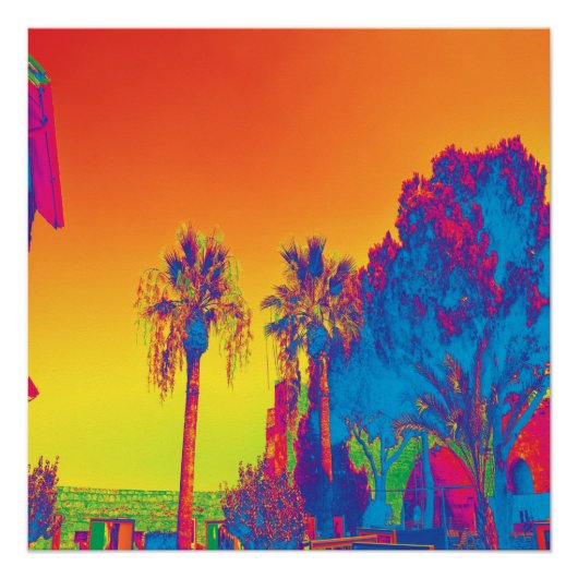 キプロスの木 ポスター (正面)