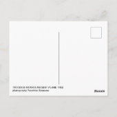 キプロスの森飛行機ツリー古代の森自然 ポストカード (裏面)