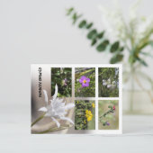 キプロスの花 ポストカード (スタンド正面)