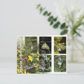 キプロスの蝶ポストカード ポストカード (スタンド正面)