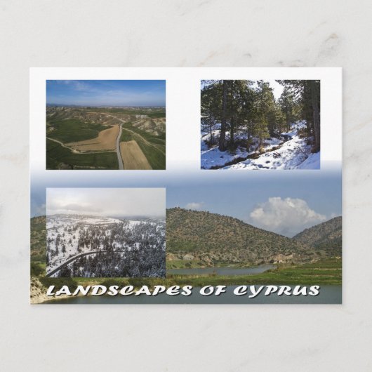 キプロスの風景 ポストカード (正面)