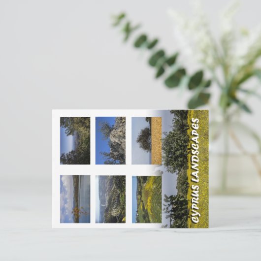 キプロスの風景 ポストカード (スタンド正面)