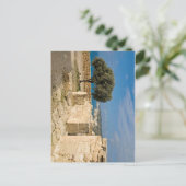 キプロスのKorion遺跡 ポストカード (スタンド正面)