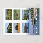 キプロスはがき ポストカード (正面)