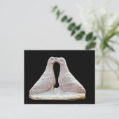 キプロスキスをするミュージアムのハトの小像 ポストカード (スタンド正面)