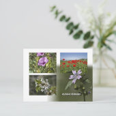 キプロスポストカードの花 ポストカード (スタンド正面)