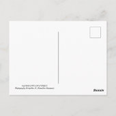 キプロスポストカードの風景 ポストカード (裏面)