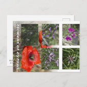 キプロス後介護の花 ポストカード (正面/裏面)