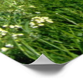 キプロス春の山の黄色い花畑 ポスター (角)