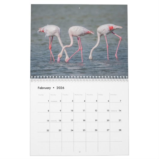 キプロス暦 カレンダー (2月 2026)