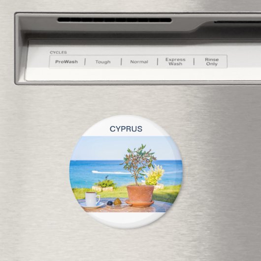 キプロス磁石 マグネット (インサイチュ (食洗機))