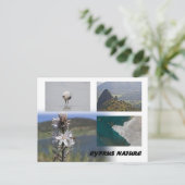 キプロス自然はがき ポストカード (スタンド正面)