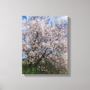 キプロス自然景観春ツリーアーモンドボーティフ キャンバスプリント