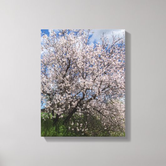 キプロス自然景観春ツリーアーモンドボーティフ キャンバスプリント (正面)