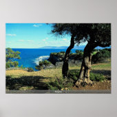 キプロス ポスター (正面)