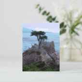 キプロス ポストカード (スタンド正面)