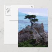 キプロス ポストカード (正面/裏面)