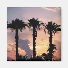 キプロス・リマソールのヤシの木と夕日 マグネット