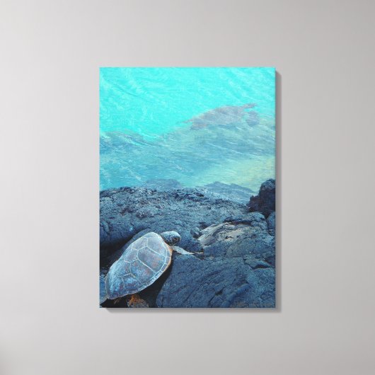 キホロベイハワイの陸地とウミガメのキャンバス キャンバスプリント (正面)