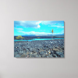 キホロ湾の風光明媚なビューハワイのキャンバスをキャプチャ キャンバスプリント