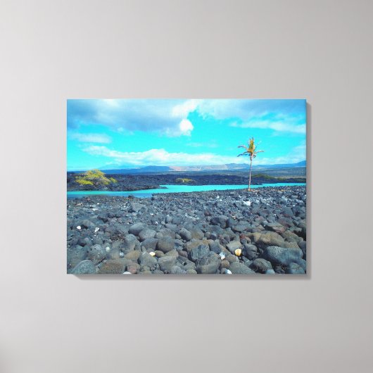 キホロ湾の風光明媚なビューハワイのキャンバスをキャプチャ キャンバスプリント (正面)