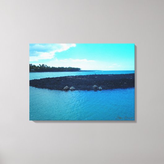 キホロ湾ターレス海岸線風光明媚なハワイのキャンバス キャンバスプリント (正面)