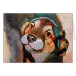 キムバシェパードテリアドッグミックス