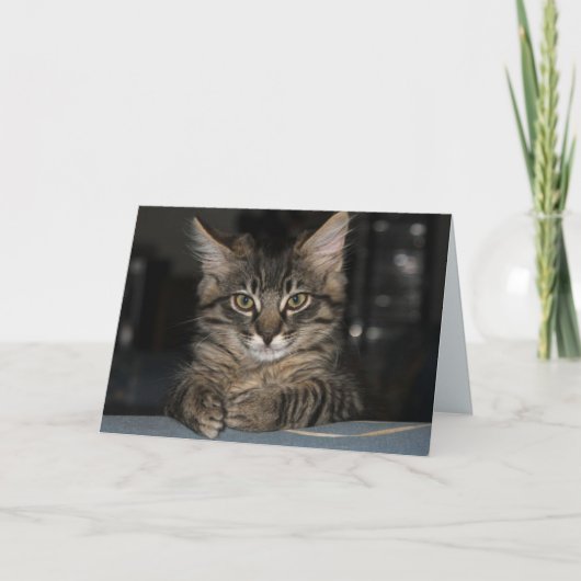 キムバーウェイト誕生日カード カード (正面)