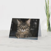 キムバー猫は自分で燃えない誕生日 カード (正面)